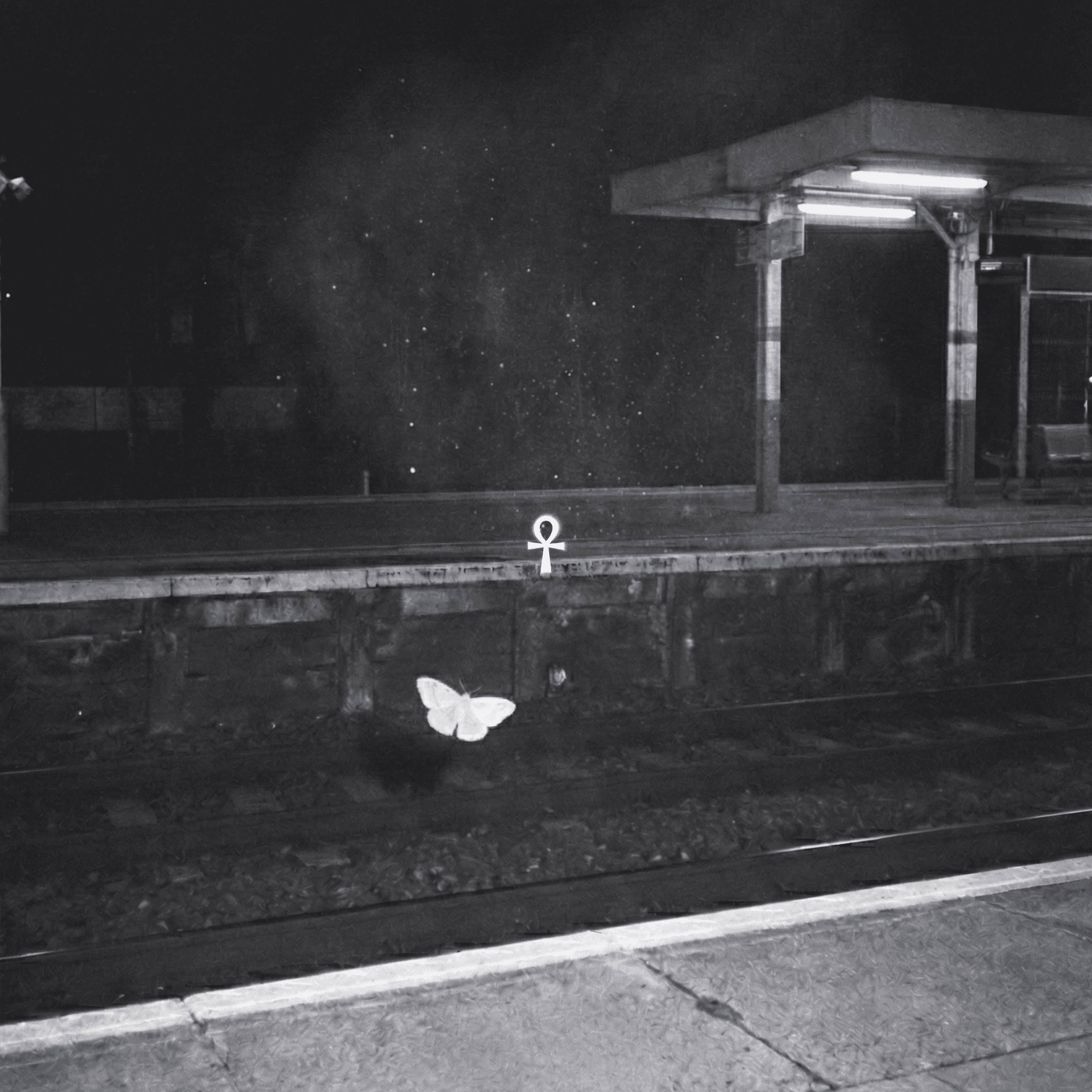 Blame cover art